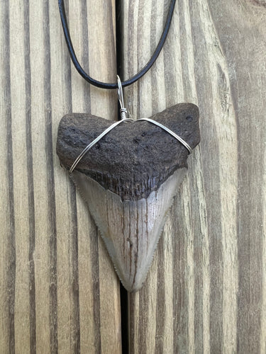 Real Shark Tooth Necklace