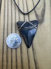 Load image into Gallery viewer, 1 13/16 inch Fossilized Real Great White Shark Tooth Plain Necklace
