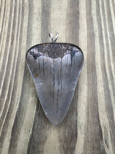 2 9/16 Inch Pyrite Inlayed Megalodon Shark Tooth Pendant