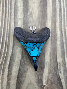 2 5/8 Inch Turquoise Gemstone Inlayed Megalodon Shark Tooth Pendant