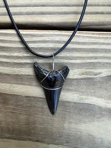 1 11/16 Inch Fossil Mako Shark Necklace