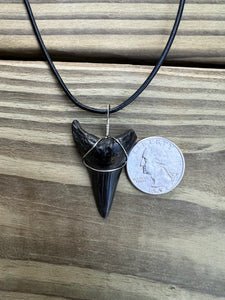 1 11/16 Inch Fossil Mako Shark Necklace