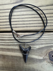 1 11/16 Inch Fossil Mako Shark Necklace