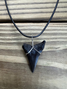 1 11/16 Inch Fossil Mako Shark Necklace