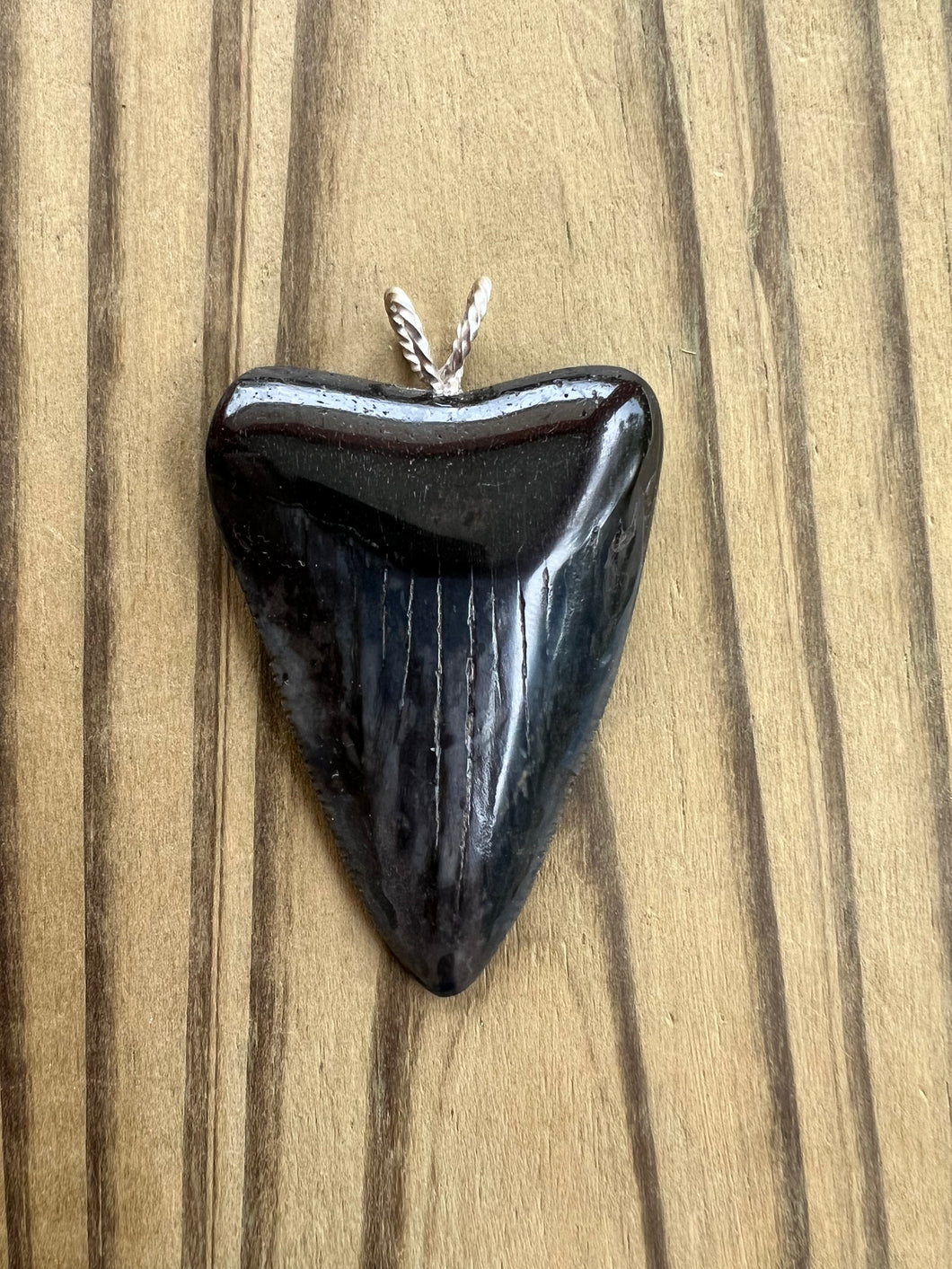2 1/8 Inch Polished Great White Shark Tooth Pendant