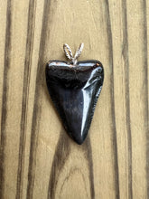 Load image into Gallery viewer, 1 11/16 Inch Polished Fossilized Great White Shark Tooth Pendant
