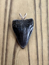 Load image into Gallery viewer, 1 11/16 Inch Polished Fossilized Great White Shark Tooth Pendant
