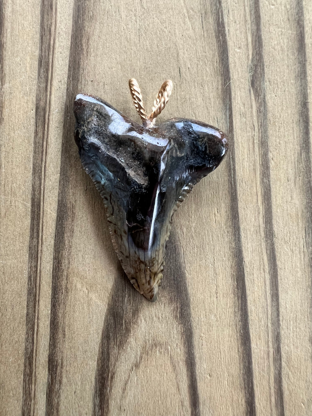 1 7/8 Inch Polished Hemipristis Shark Tooth Necklace