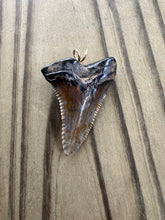 Load image into Gallery viewer, 1 7/16 Inch Polished Hemipristis Shark Tooth Pendant and Necklace
