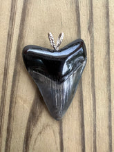 Load image into Gallery viewer, 1 15/16 Inch Polished Angustiden Shark Tooth Pendant With Cord or Chain
