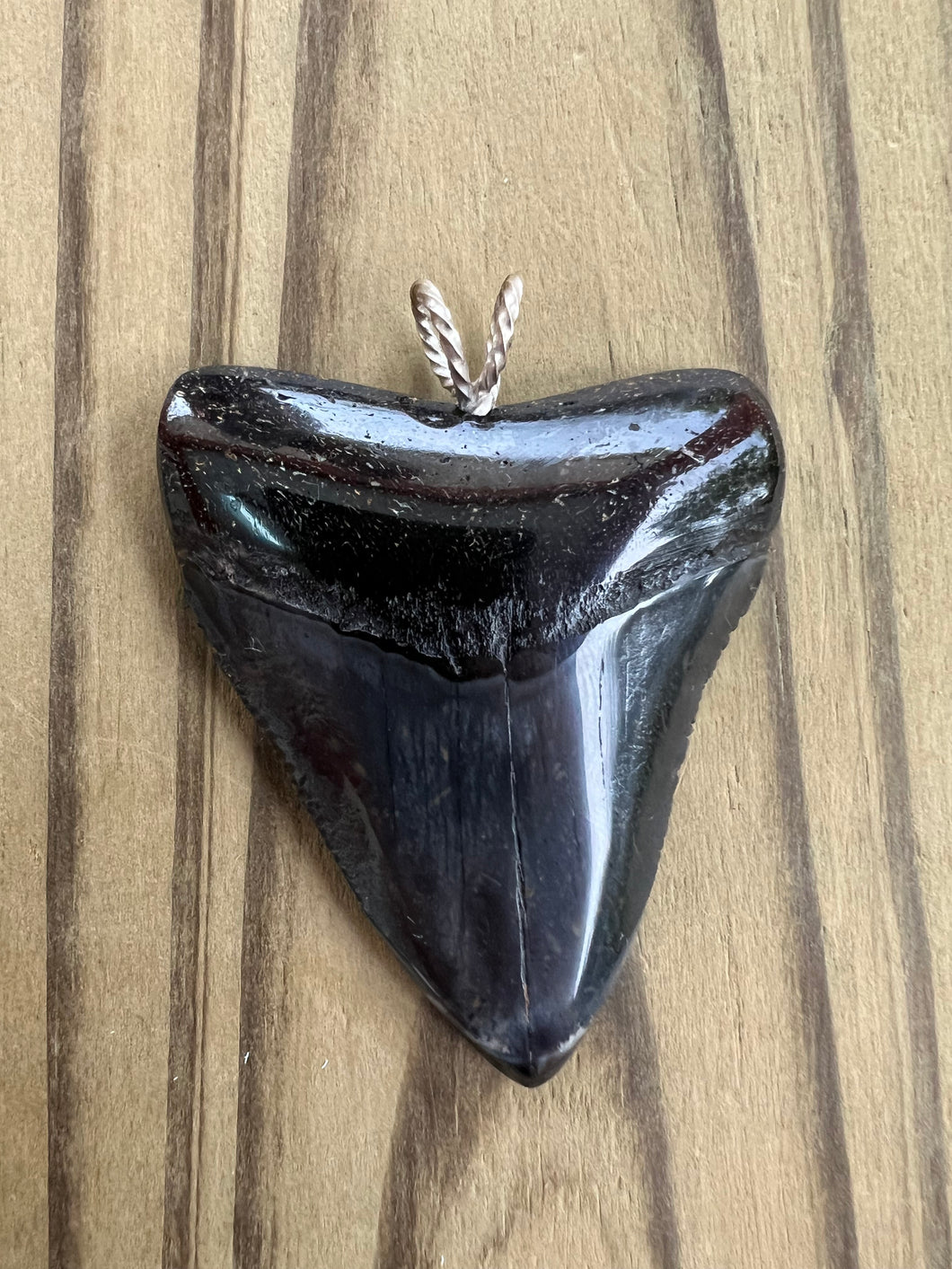 2 3/16 Inch Polished Megalodon Shark Tooth Necklace