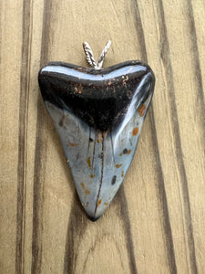 2 1/16 Inch Polished Mako Shark Tooth Necklace