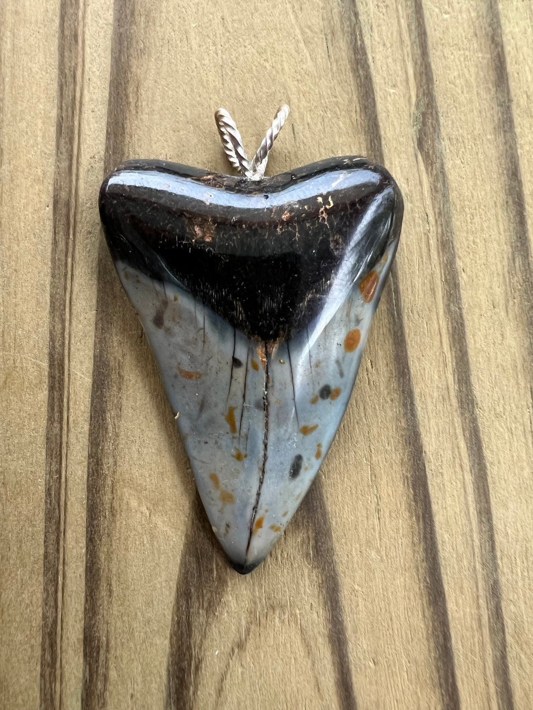 2 1/16 Inch Polished Mako Shark Tooth Necklace
