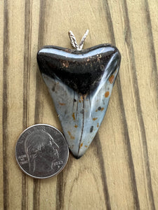 2 1/16 Inch Polished Mako Shark Tooth Necklace