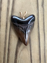 Load image into Gallery viewer, 1 11/16 Inch Fossilized Polished Megalodon Shark Tooth Necklace
