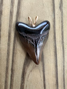 1 11/16 Inch Fossilized Polished Megalodon Shark Tooth Necklace