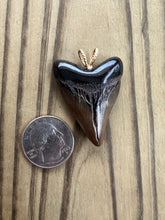 Load image into Gallery viewer, 1 11/16 Inch Fossilized Polished Megalodon Shark Tooth Necklace

