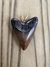 Load image into Gallery viewer, 1 11/16 Inch Fossilized Polished Megalodon Shark Tooth Necklace

