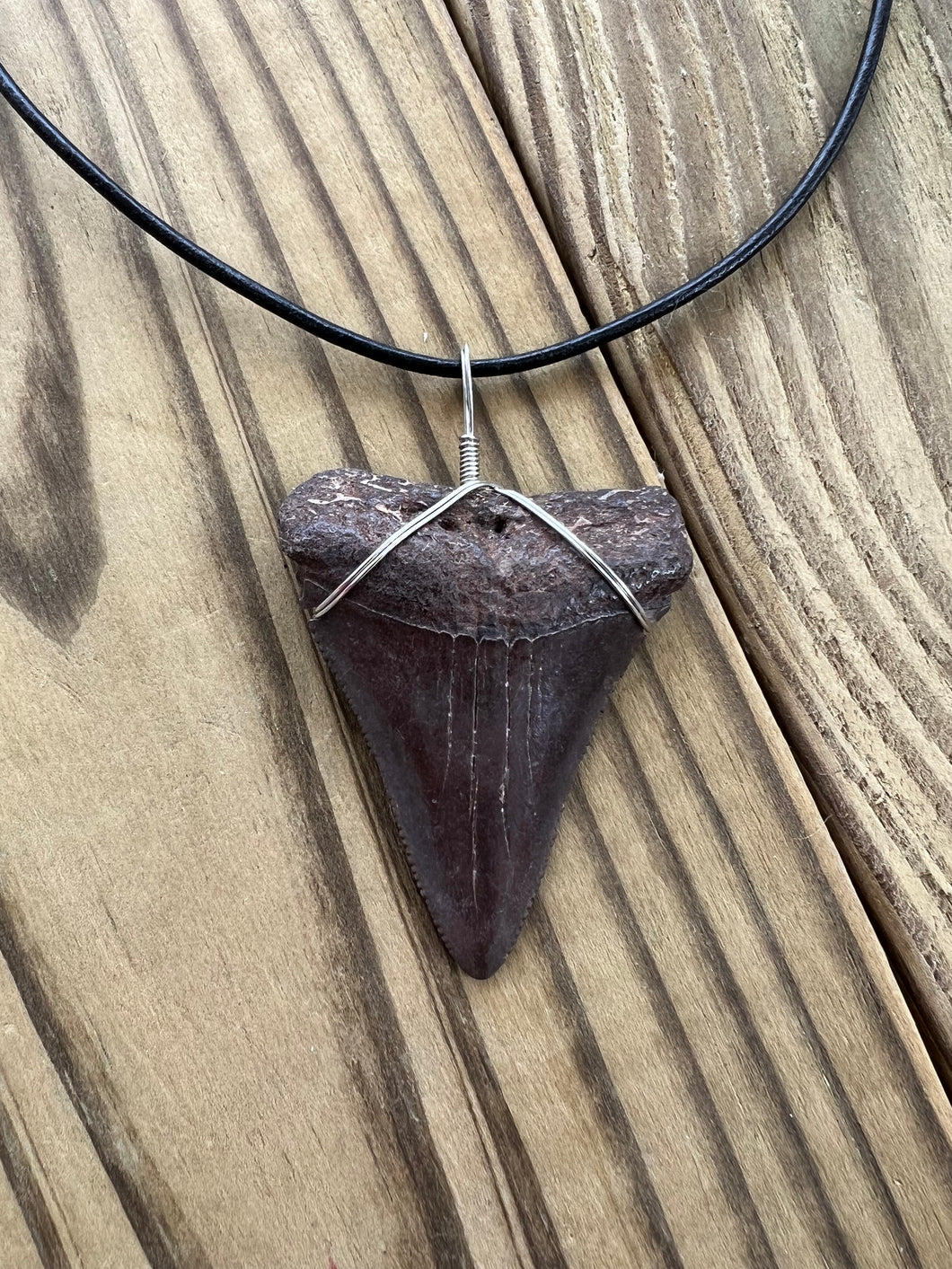 Fossilized 2 1/8 Inches Great White Shark Tooth Necklace
