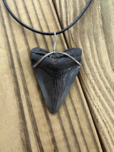 Load image into Gallery viewer, Fossilized 2-1/16 Inch Megalodon Shark Tooth Necklace
