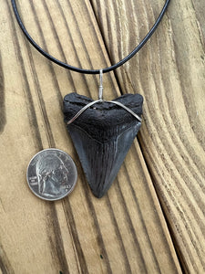 Fossilized 2-1/16 Inch Megalodon Shark Tooth Necklace