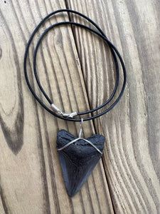 Fossilized 2-1/16 Inch Megalodon Shark Tooth Necklace