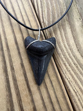 Load image into Gallery viewer, 1 15/16-Inch Fossilized Megalodon Shark Tooth Necklace – Dark Enamel Blade
