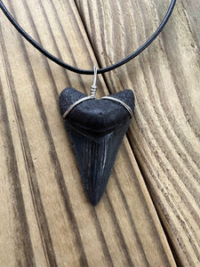 1 15/16-Inch Fossilized Megalodon Shark Tooth Necklace – Dark Enamel Blade