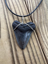 Load image into Gallery viewer, Fossilized 1 15/16-Inch Megalodon Shark Tooth Necklace – Plain Cord
