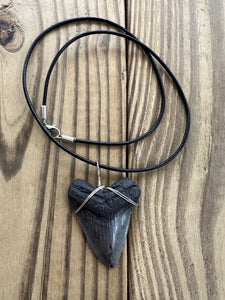Fossilized 1 15/16-Inch Megalodon Shark Tooth Necklace – Plain Cord