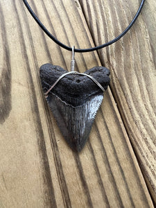 Fossilized 2-1/16 Inch Megalodon Shark Tooth Necklace – Dark Enamel Finish