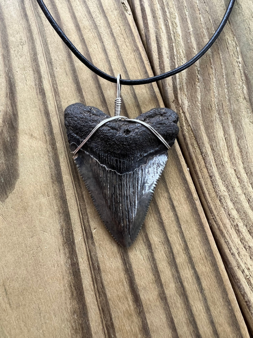 Fossilized 2-1/16 Inch Megalodon Shark Tooth Necklace – Dark Enamel Finish