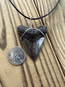 Fossilized 2-1/16 Inch Megalodon Shark Tooth Necklace – Dark Enamel Finish