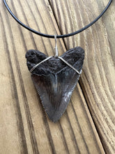 Load image into Gallery viewer, Fossilized 2-1/16 Inch Megalodon Shark Tooth Necklace – Dark Enamel Finish
