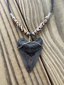 Fossilized 2-Inch Megalodon Shark Tooth Necklace With Bone Beads