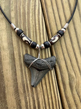 Load image into Gallery viewer, 1 1/2 Inch Angustiden Shark Tooth Necklace with Black and Brown Beads
