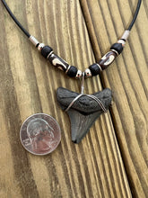 Load image into Gallery viewer, 1 1/2 Inch Angustiden Shark Tooth Necklace with Black and Brown Beads
