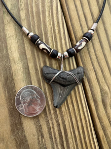 1 1/2 Inch Angustiden Shark Tooth Necklace with Black and Brown Beads
