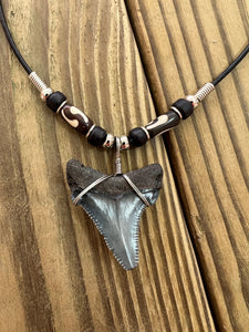 1 1/2 Inch Angustiden Shark Tooth Necklace with Black and Brown Beads