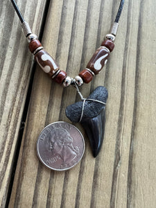 1 7/16 Inch Fossil Mako Shark Tooth Necklace with Brown Bone and Clay Beads