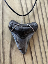 Load image into Gallery viewer, Large Fossil Megalodon Shark Tooth Necklace 2 1/4 Inch on Black Leather Cord
