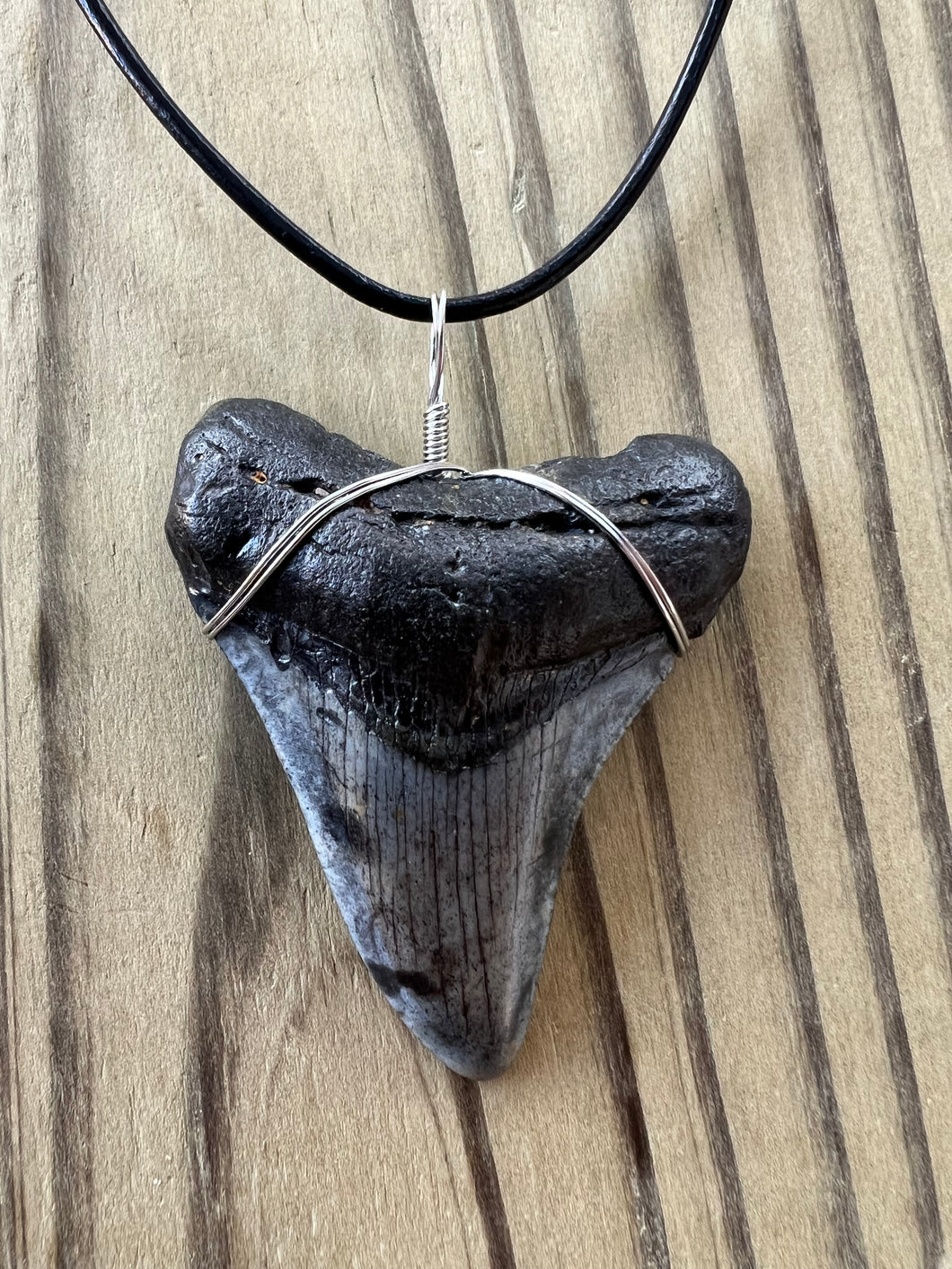 Large Fossil Megalodon Shark Tooth Necklace 2 1/4 Inch on Black Leather Cord