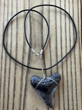 Load image into Gallery viewer, Large Fossil Megalodon Shark Tooth Necklace 2 1/4 Inch on Black Leather Cord
