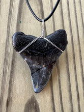 Load image into Gallery viewer, Large Fossil Megalodon Shark Tooth Necklace 2 1/4 Inch on Black Leather Cord
