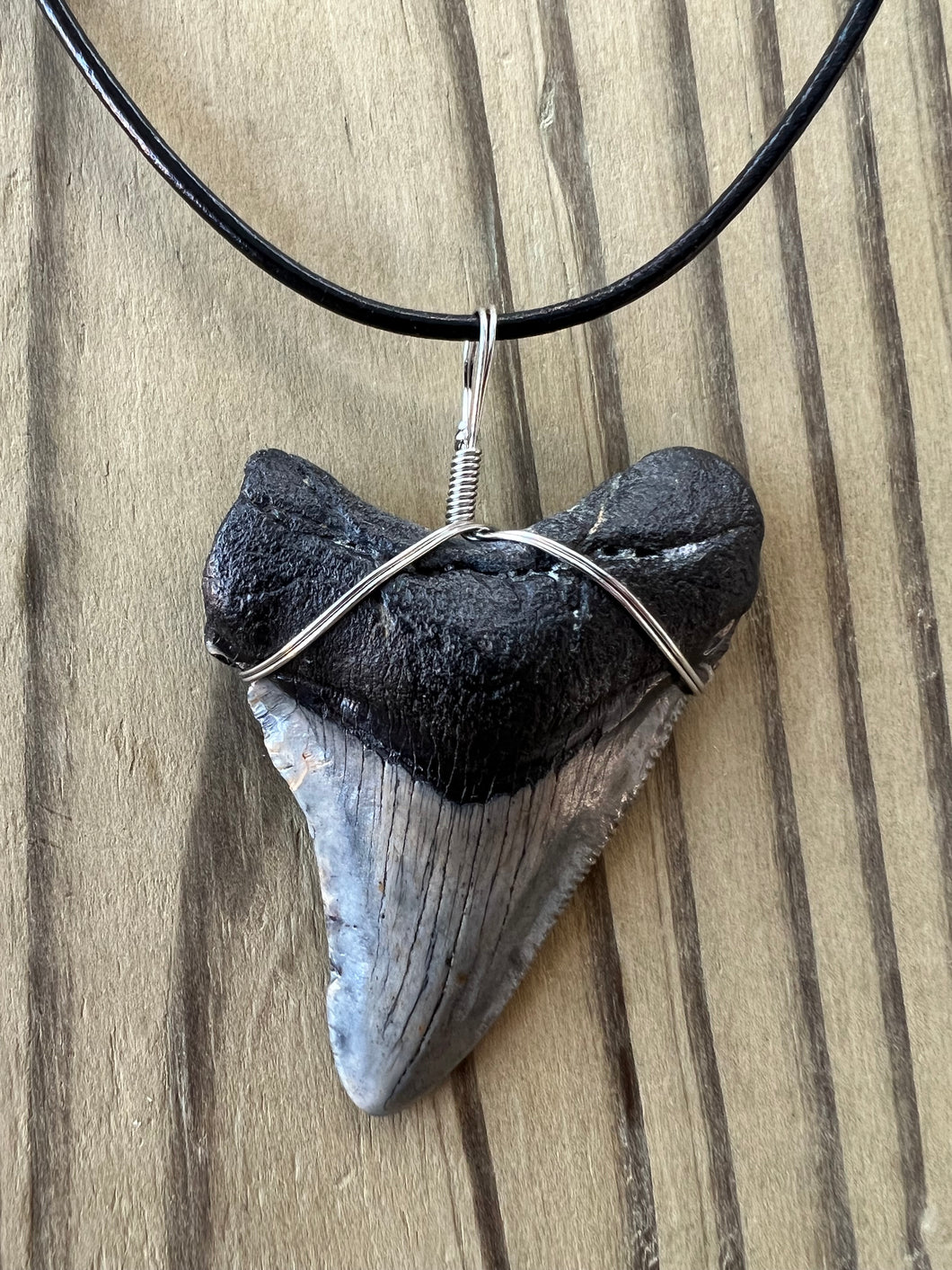 Gray and Black Fossil Megalodon Shark Tooth Necklace 2 1/4 Inch on Black Leather Cord