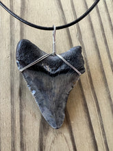 Load image into Gallery viewer, Gray and Black Fossil Megalodon Shark Tooth Necklace 2 1/4 Inch on Black Leather Cord
