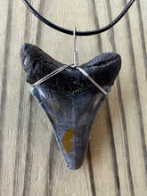 Load image into Gallery viewer, Large Fossil 2 7/16 Inch Angustiden Shark Tooth Necklace on Black Leather
