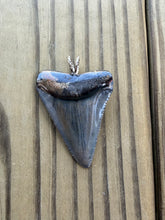 Load image into Gallery viewer, Polished Great White Shark Tooth Necklace Pendant - 1 15/16 Inch Fossil

