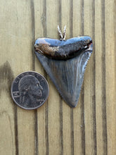 Load image into Gallery viewer, Polished Great White Shark Tooth Necklace Pendant - 1 15/16 Inch Fossil
