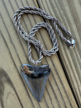 Load image into Gallery viewer, Polished Great White Shark Tooth Necklace Pendant - 1 15/16 Inch Fossil
